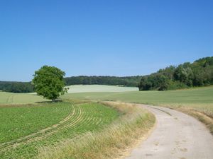(Article) Les campagnes françaises en mouvement aux XIXe-XXe siècles