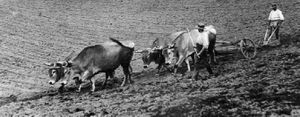 (Article) Histoire de l'écologie agricole : le rôle de la recherche agronomique au XIXème siècle