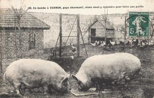 (Article) Histoire de l'écologie agricole : le rôle de la recherche agronomique au XXème siècle