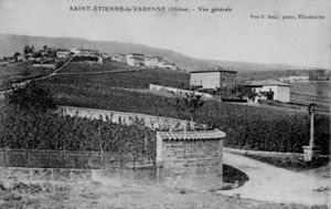 (Article) Lutter contre le phylloxéra en Beaujolais