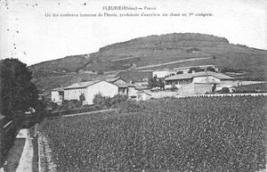 (Article) La répartition du sol dans le Beaujolais au XIXème siècle - 1/2