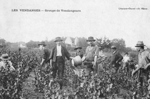 (Article) L'exploitation du sol en Beaujolais au XIXème siècle - Les contrats de travail