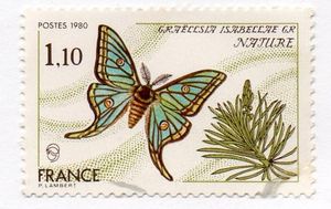 Isabelle, le beau papillon