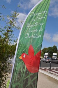 L’Agrion de l’Oise fête la Nature sur l’autoroute