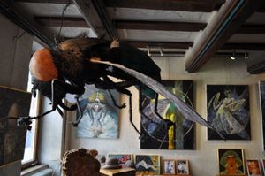 De l'art et des insectes à La Petite Pierre