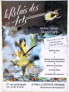 De l'art et des insectes à La Petite Pierre
