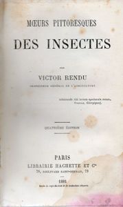 Nos amies les guêpes