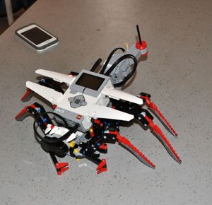 RObeez, les robots-insectes des CM1 de Creil
