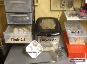 de 1.3. à 2.3;
