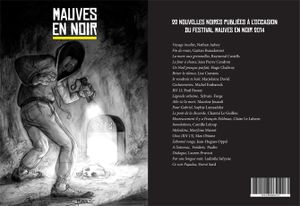 A propos de Mauves en Noir - RN 13