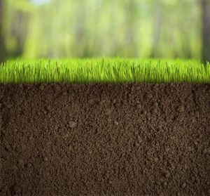 Quid de la fiscalité écologique ?