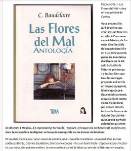 Sur ce blog Overblog, record de fréquentation en janvier ! On continue !