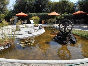 L'art hindou de se désintoxiquer au restaurant Annapurna d'Ayurveda