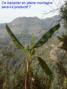 Du bord du chemin vers Tlatempa et Buenavista del Monte près de Cuernavaca