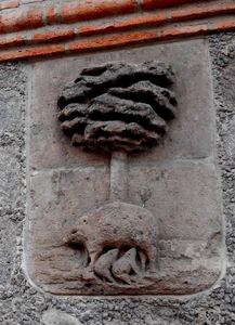 Un animal mystérieux dans le quartier de San Anton
