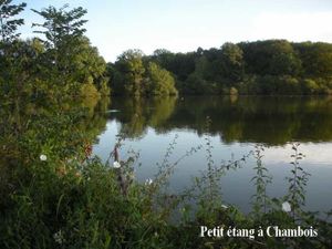 La plaine vallonnée d'Autun et son vivant bocage