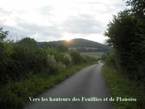Un vieux chemin dans la vallée de La Caron à Autun