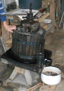 Ratafia et suites : les saveurs des terroirs picard et champenois