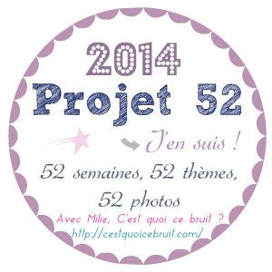 projet 52