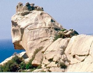 Le lion de granit rose