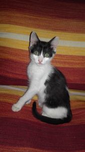 à la rencontre de soi même 80 expériences de développement des valeurs