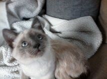 Des nouvelles de Bidule rebaptisé Happy !