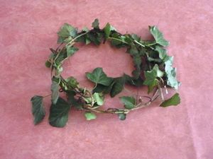 NOEL 2013 : Une couronne pomponnée !