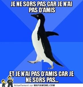 Je n'ai pas d'amis
