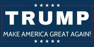 Comité Trump France : « Se trumpiser, c’est ne plus se soumettre, comme Trump ne s’est jamais soumis. » (interview)