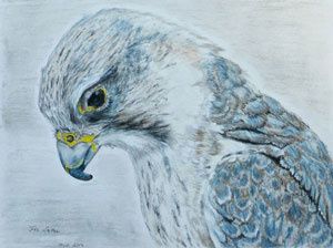 Le SAKER