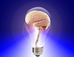 Les intelligences multiples...