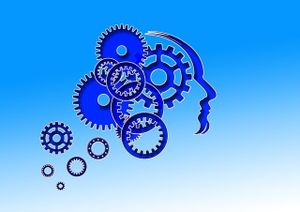 Mon cerveau ... et ses Mythes ...