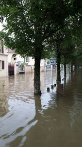 Solidarité seine-et-marnaise
