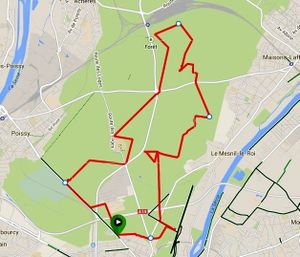 28/1/2015 - Forêt de Saint Germain