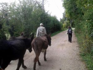 7/10/2015 - Vallée de l'Aubette