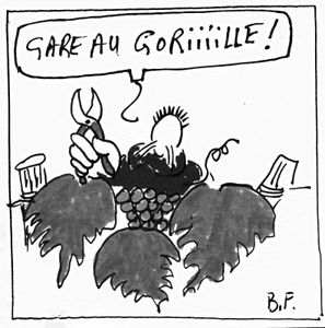 Chroniques noires à Thouars (12)