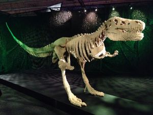 The Art of the Brick, les étonnantes sculptures en LEGO de Nathan Sawaya