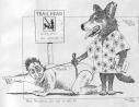 Comment trouver LE professionnel pour vous aider avec le comportement de votre chien?