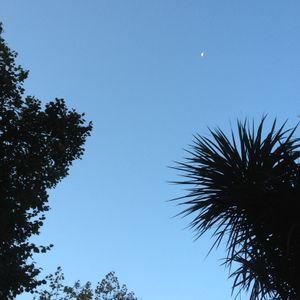 Les intempéries dans mon sud