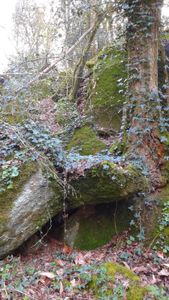 A la recherche des esprits de la nature ...