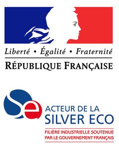 Silver Economie : définition et usages