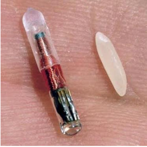 Implants des puces électroniques dans le corps : nouveaux usages de la RFID