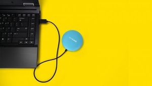 Authentification : les alternatives biométriques aux mots de passe