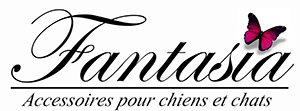 Nos Partenaires