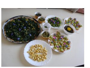JOURNEE PLANTES SAUVAGES COMESTIBLES samedi 21 mai