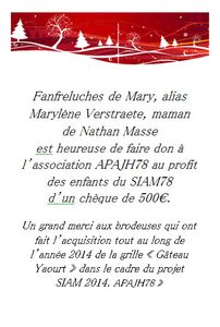 Projet SIAM 2014 : la fin