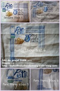 SAL du projet SIAM 2015 #9