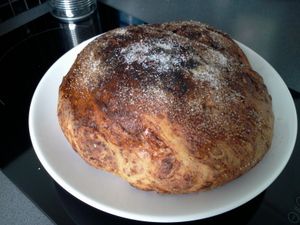 Grosse brioche au chocolat râpé