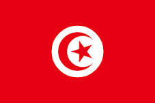 TUNISIE : DEMOCRATIE EN ROUTE ? NOUS VOUDRIONS Y CROIRE
