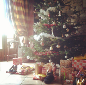Wish-list de Noël pour My Sweet Little Baby de 3 mois